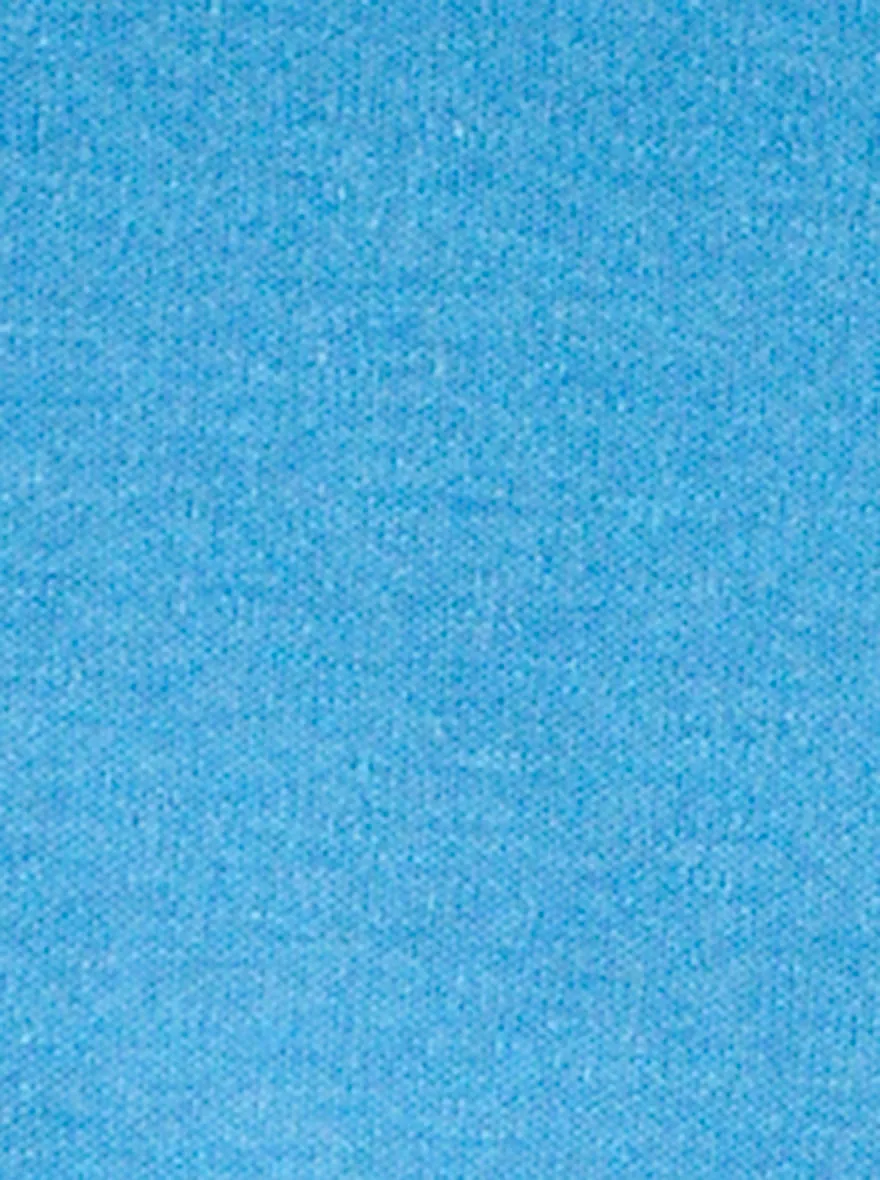 Bright Blue Solid Slim Fit Polo T-shirt | Greenfibre