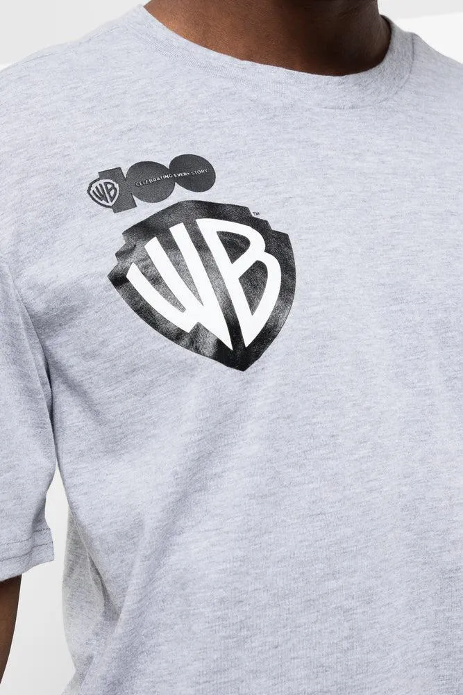 Warner Brothers Relaxed Short Sleeve T-Shirt Grey